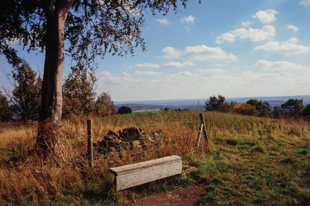 A wooden bench with a landscape view behind, in amongst autumnal fields.