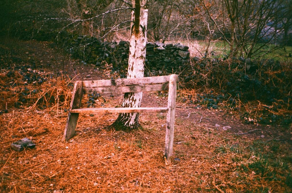 Old broken wooden bench
