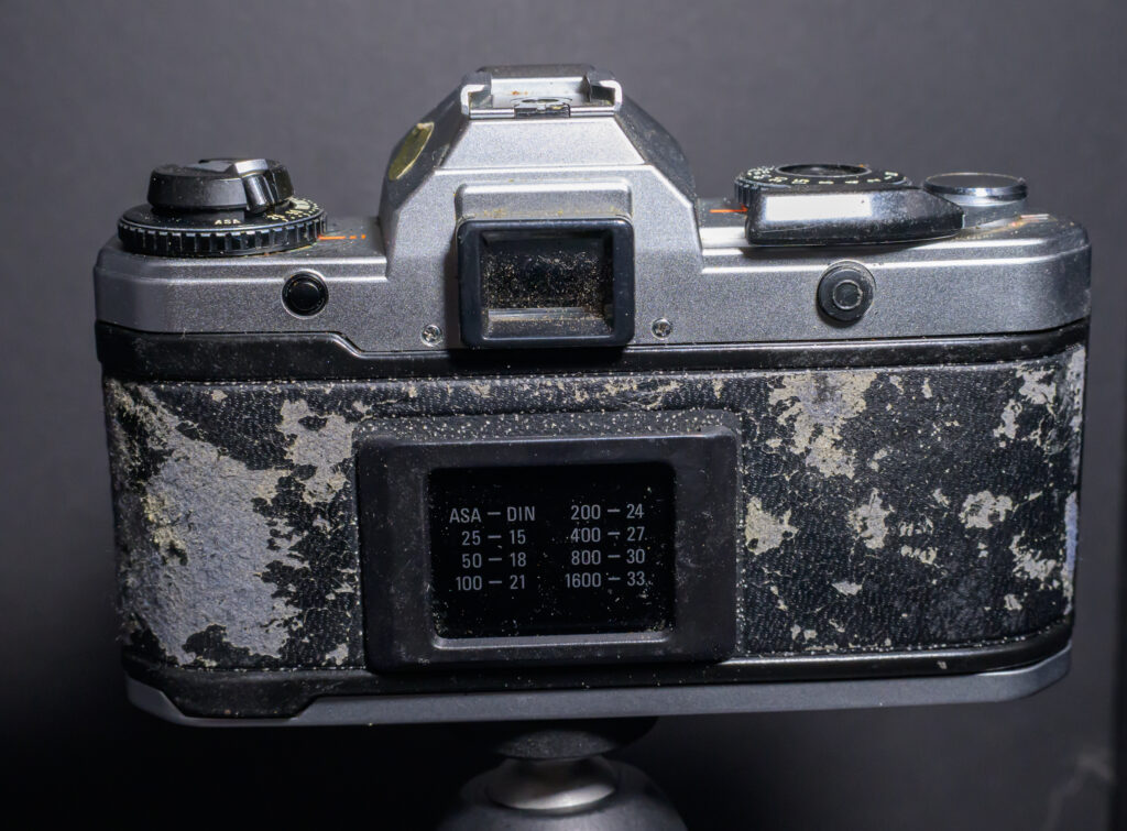 Yashica FX-D camera rear view.