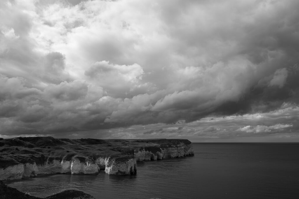 Bempton Cliffs, Flamborough Head, East Yorkshire.