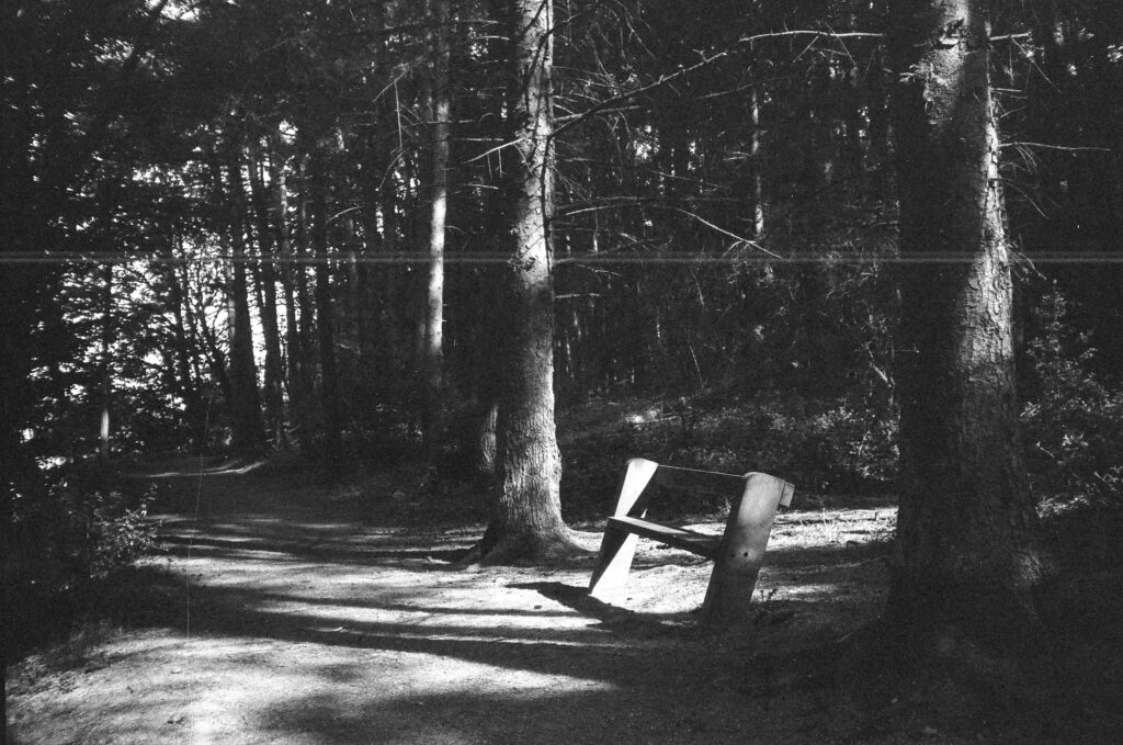 B&W photo taken in some woods.