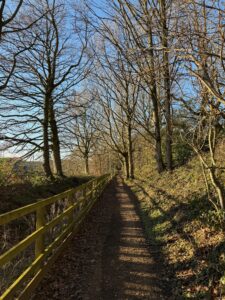 Sunny says on the trail.