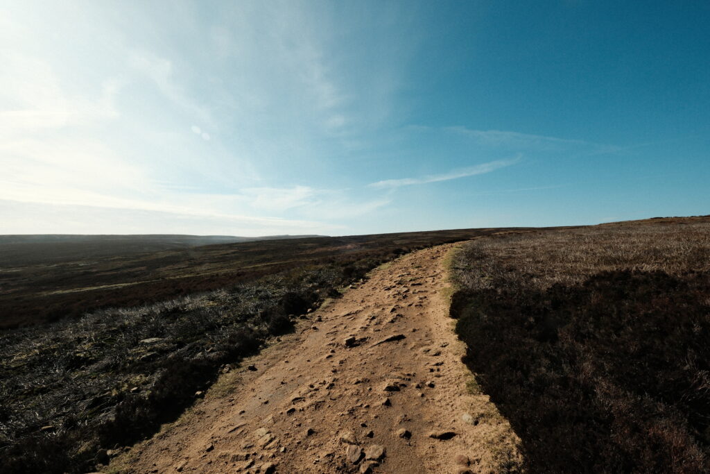 Pathway across a moor.