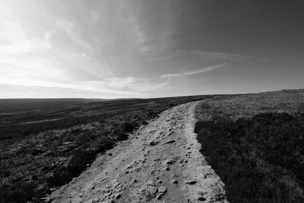 Path across a moor in B&W